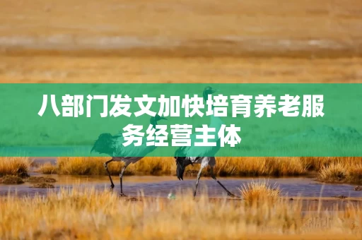 八部门发文加快培育养老服务经营主体