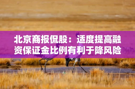 北京商报侃股：适度提高融资保证金比例有利于降风险