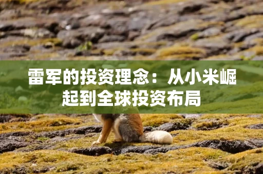 雷军的投资理念：从小米崛起到全球投资布局