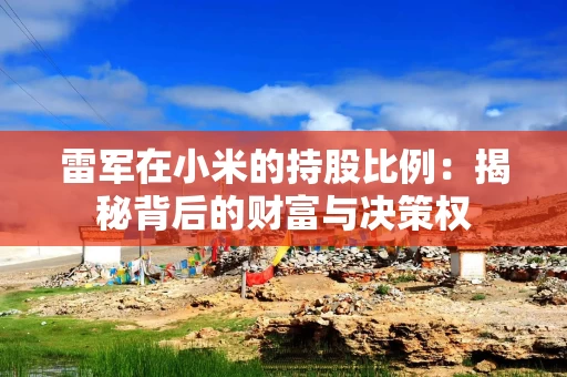 雷军在小米的持股比例：揭秘背后的财富与决策权