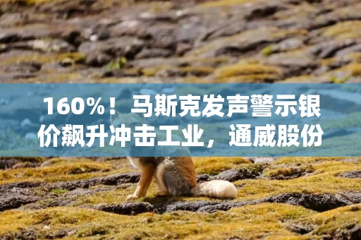 160%!马斯克发声警示银价飙升冲击工业,通威股份回应成本压力与对冲策略