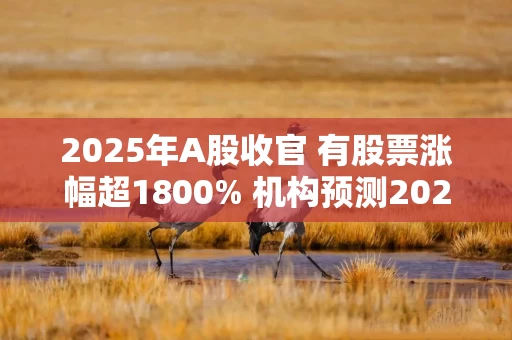 2025年A股收官 有股票涨幅超1800% 机构预测2026“慢牛”可期