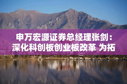 申万宏源证券总经理张剑：深化科创板创业板改革 为拓展投行服务开辟新空间