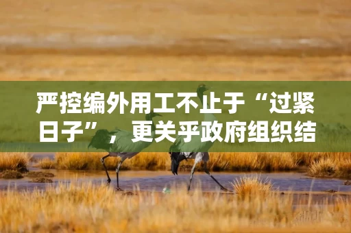 严控编外用工不止于“过紧日子”，更关乎政府组织结构优化