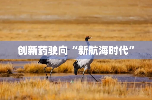 创新药驶向“新航海时代”