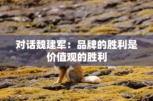 对话魏建军:品牌的胜利是价值观的胜利