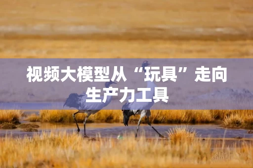 视频大模型从“玩具”走向生产力工具