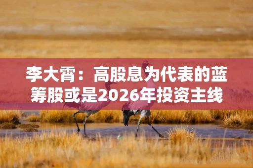 李大霄：高股息为代表的蓝筹股或是2026年投资主线之一