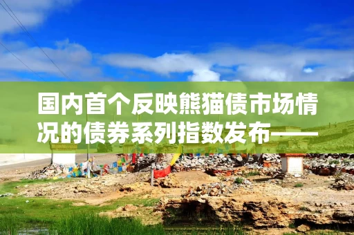 国内首个反映熊猫债市场情况的债券系列指数发布——吸引更多境外投资者参与我国债券市场