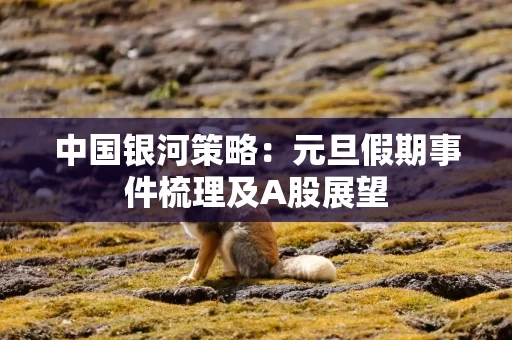 中国银河策略：元旦假期事件梳理及A股展望