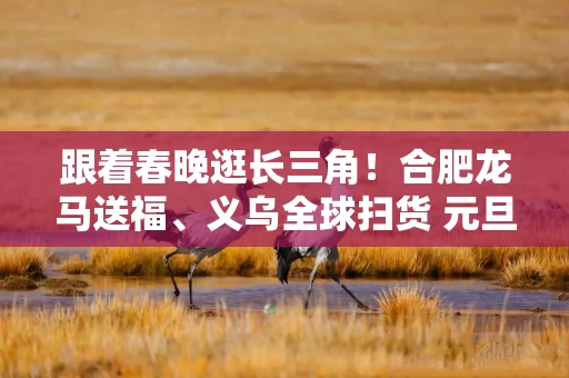 跟着春晚逛长三角!合肥龙马送福、义乌全球扫货 元旦文旅热出新高