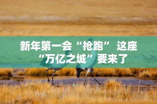 新年第一会“抢跑” 这座“万亿之城”要来了