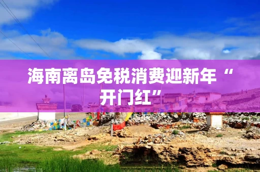 海南离岛免税消费迎新年“开门红”