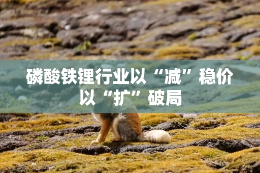 磷酸铁锂行业以“减”稳价以“扩”破局