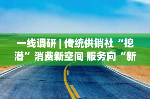 一线调研 | 传统供销社“挖潜”消费新空间 服务向“新”引导消费新潮流