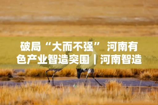 破局“大而不强” 河南有色产业智造突围|河南智造焕新记