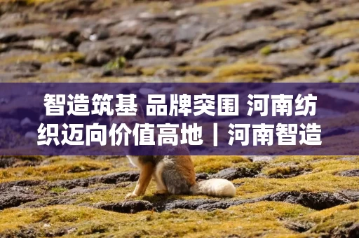 智造筑基 品牌突围 河南纺织迈向价值高地｜河南智造焕新记