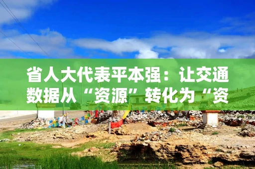 省人大代表平本强:让交通数据从“资源”转化为“资产”丨两会财经访谈