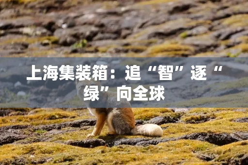 上海集装箱:追“智”逐“绿”向全球