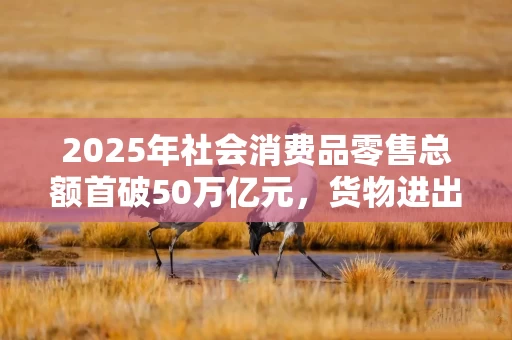 2025年社会消费品零售总额首破50万亿元,货物进出口增长3.8% 商务部:全力稳住外贸基本盘 优化实施消费品以旧换新