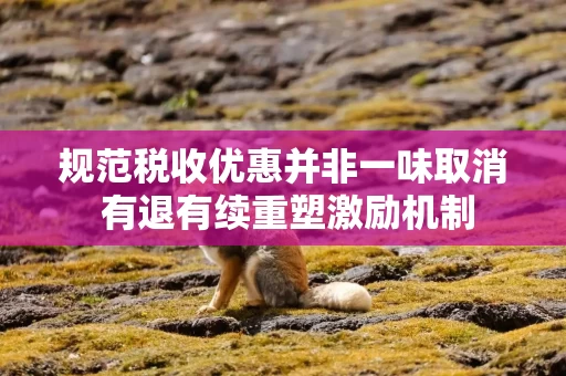 规范税收优惠并非一味取消 有退有续重塑激励机制