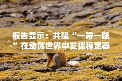 报告显示:共建“一带一路”在动荡世界中发挥稳定器作用