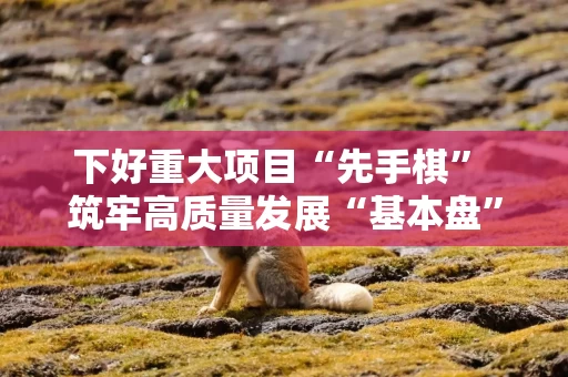 下好重大项目“先手棋” 筑牢高质量发展“基本盘”