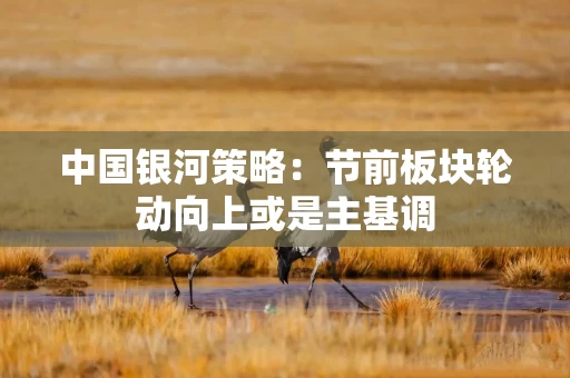 中国银河策略:节前板块轮动向上或是主基调