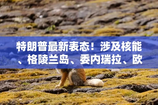 特朗普最新表态!涉及核能、格陵兰岛、委内瑞拉、欧洲、北约、俄乌 一文速览