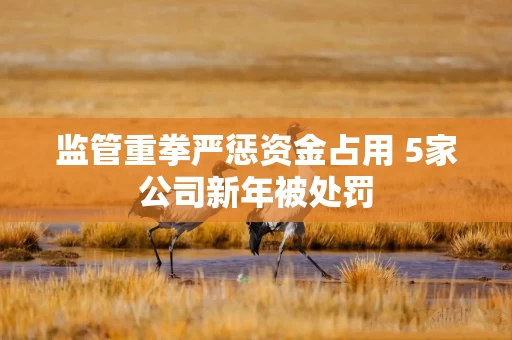 监管重拳严惩资金占用 5家公司新年被处罚