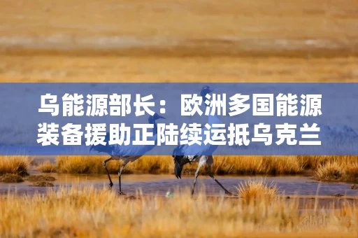 乌能源部长:欧洲多国能源装备援助正陆续运抵乌克兰