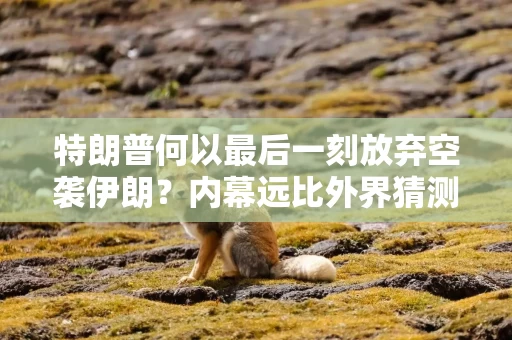 特朗普何以最后一刻放弃空袭伊朗?内幕远比外界猜测的复杂