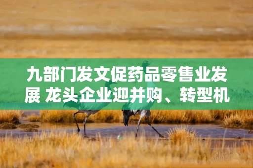 九部门发文促药品零售业发展 龙头企业迎并购、转型机遇