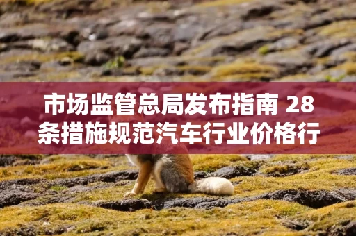 市场监管总局发布指南 28条措施规范汽车行业价格行为