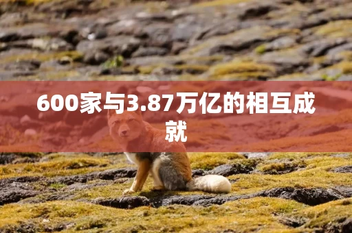 600家与3.87万亿的相互成就