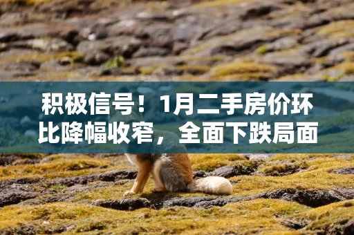 积极信号!1月二手房价环比降幅收窄,全面下跌局面或终结