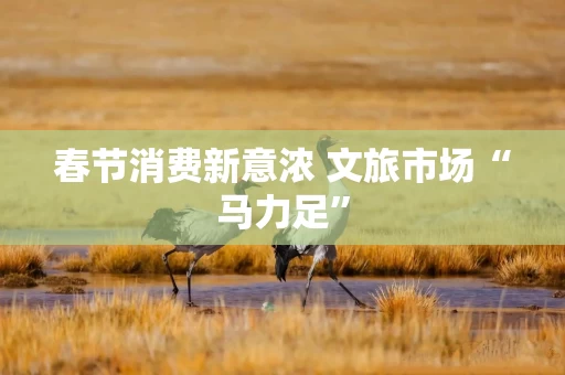 春节消费新意浓 文旅市场“马力足”