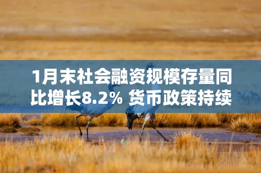 1月末社会融资规模存量同比增长8.2% 货币政策持续发力 支持经济平稳开局
