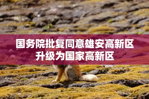 国务院批复同意雄安高新区升级为国家高新区