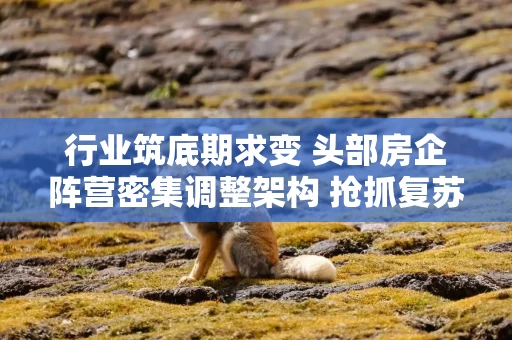 行业筑底期求变 头部房企阵营密集调整架构 抢抓复苏窗口