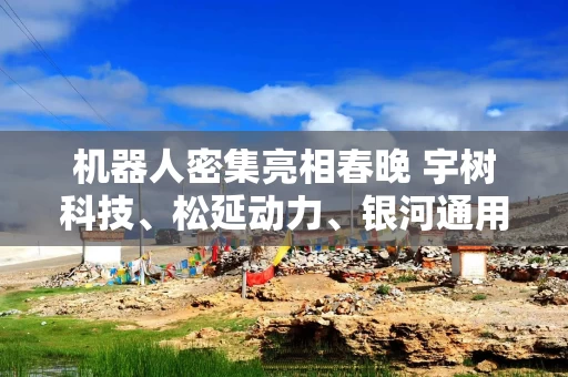 机器人密集亮相春晚 宇树科技、松延动力、银河通用、魔法原子等概念股梳理