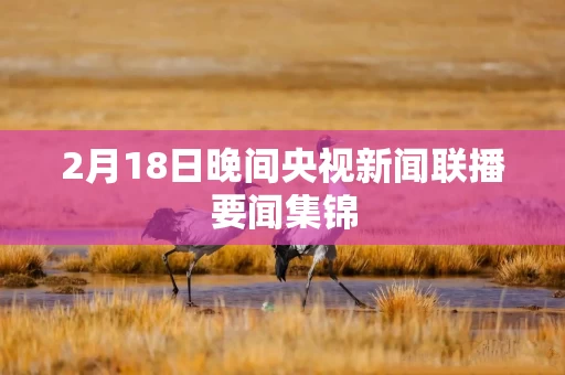 2月18日晚间央视新闻联播要闻集锦