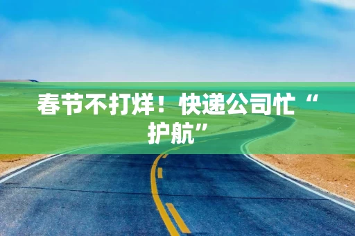 春节不打烊!快递公司忙“护航”