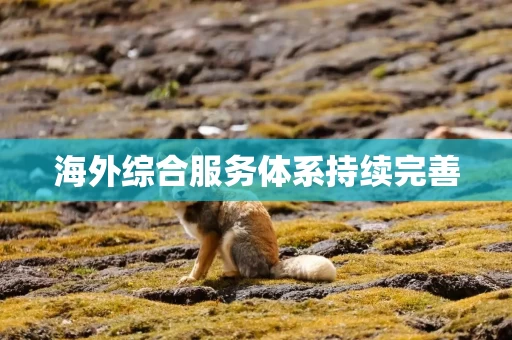 海外综合服务体系持续完善