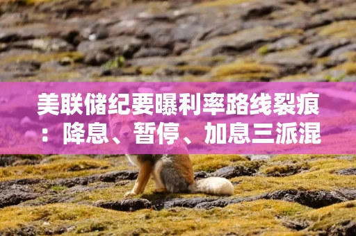 美联储纪要曝利率路线裂痕:降息、暂停、加息三派混战