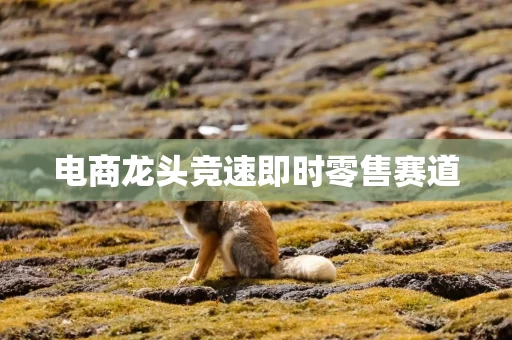 电商龙头竞速即时零售赛道