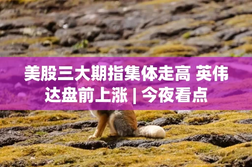 美股三大期指集体走高 英伟达盘前上涨 | 今夜看点