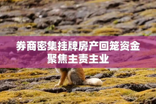 券商密集挂牌房产回笼资金聚焦主责主业