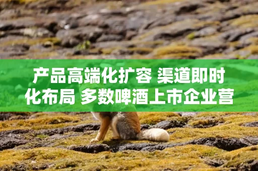 产品高端化扩容 渠道即时化布局 多数啤酒上市企业营收利润双增