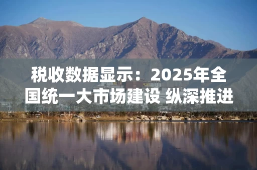 税收数据显示:2025年全国统一大市场建设 纵深推进